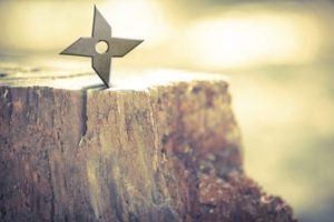 全日本忍者選手権大会in　忍術村 @ 甲賀の里忍術村