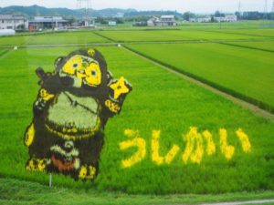 うしかい田んぼアート稲刈り体験参加者募集 @ うしかい地区水田