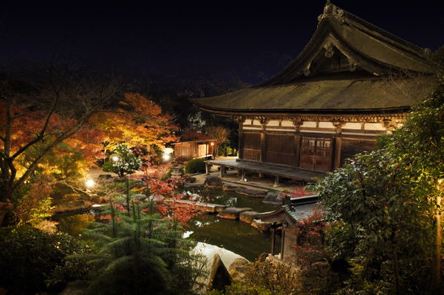 善水寺の紅葉がライトアップ 滋賀県甲賀市のデザインオフィス サムズジャパン